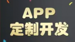 软件开发APP开发小程序制作软件定制